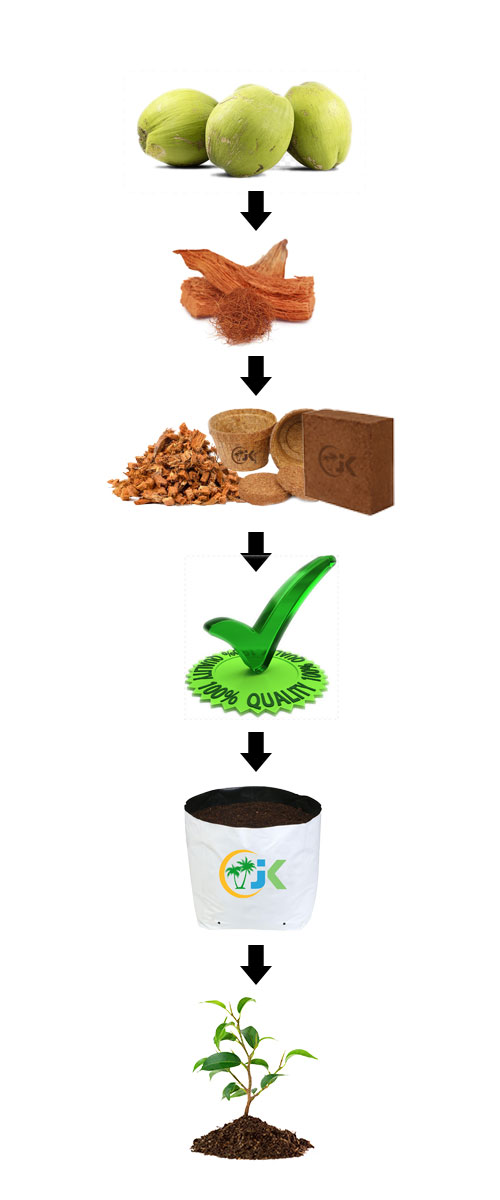 jkCoir_process_map-mobile